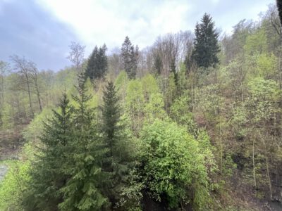 IMG_2234 (Mittel)
