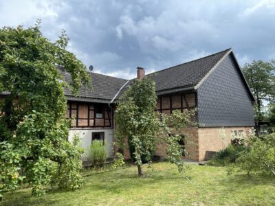 IMG_6359 (Mittel)