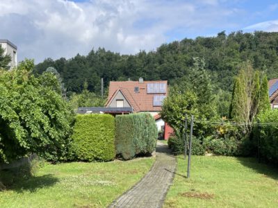 IMG_6308 (Mittel)
