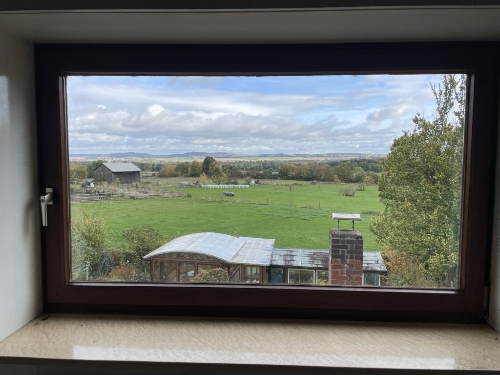 IMG_9522 (Mittel) IMG_9522 (Mittel)