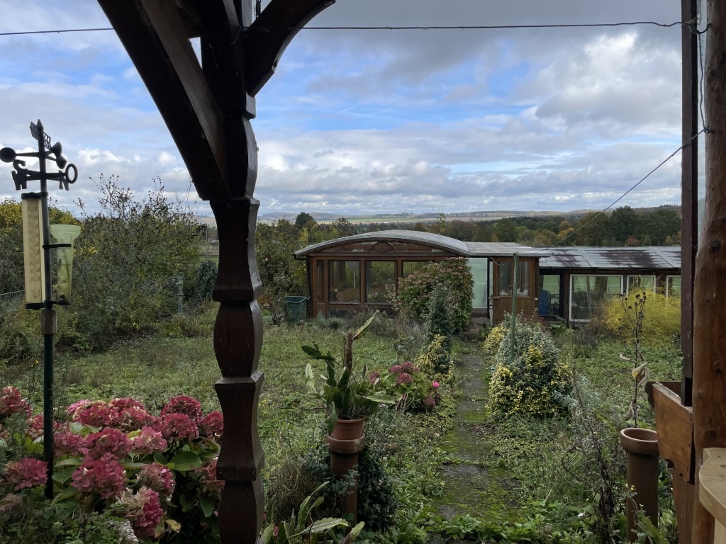 IMG_9581 (Mittel) IMG_9581 (Mittel)