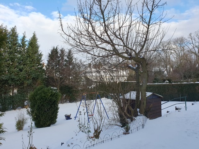 20260105_104708 (Klein) 20260105_104708 (Klein)