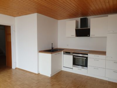 20260209_124757 (Klein)