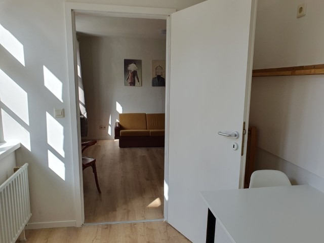 20260310_124529 (Klein) 20260310_124529 (Klein)