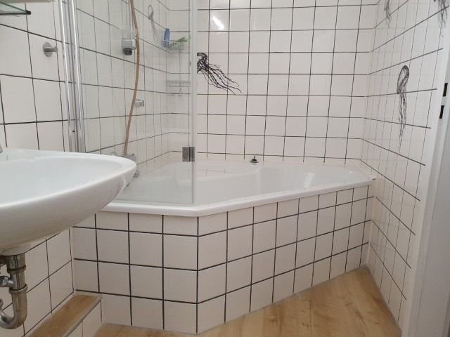 20260310_124651 (Klein) 20260310_124651 (Klein)