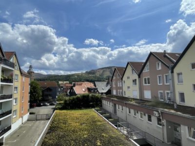 IMG_2705 (Klein)