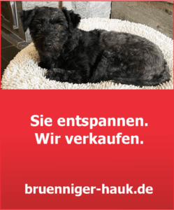 Sie entspannen - Wir verkaufen! Brünniger und Hauck Immobilien Goslar